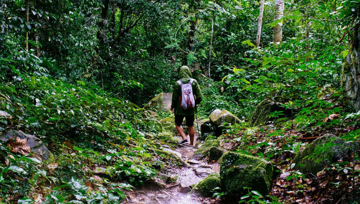 Trilha pelo Alto Shilcayo - Foto 1