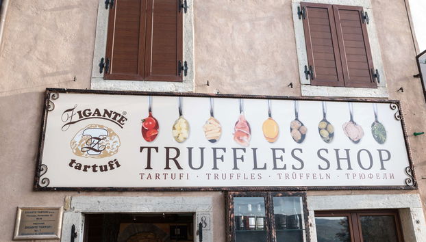 Istria Food Tour - Photo 5