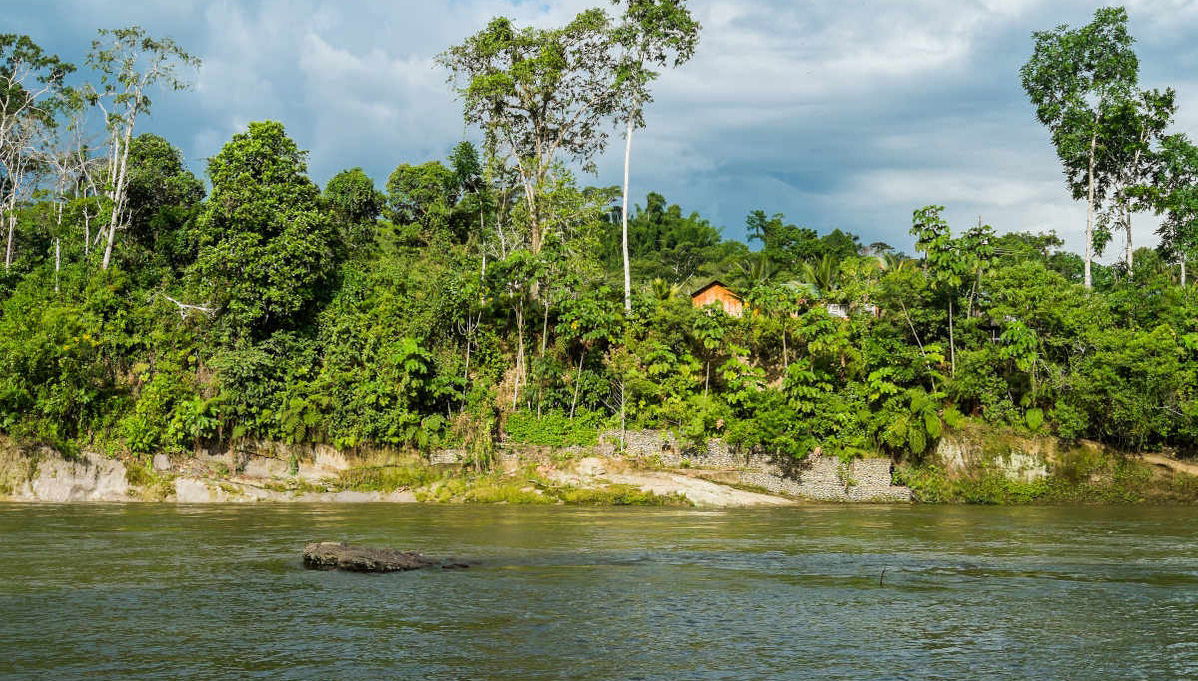 Baeza & Puerto Misahualli Tour - Photo 1