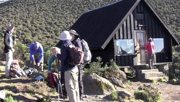 Mount Kilimanjaro Hike: 7 Days - Photo 2