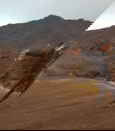 Foto de Excursión al Volcán Pacaya