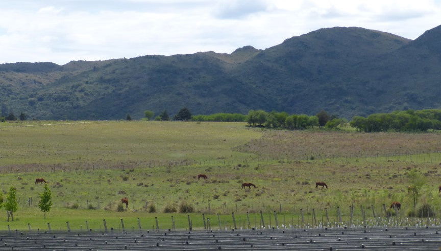 Tour in Santa María - Photo 1