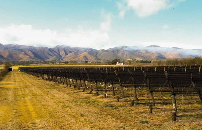 Excursión a las bodegas del Valle de Calamuchita - Foto 1