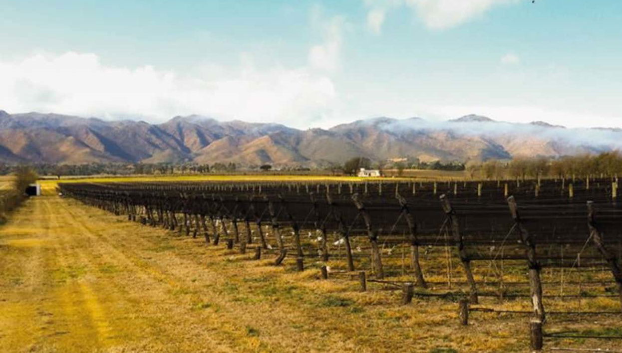 Excursión a las bodegas del Valle de Calamuchita - Foto 1