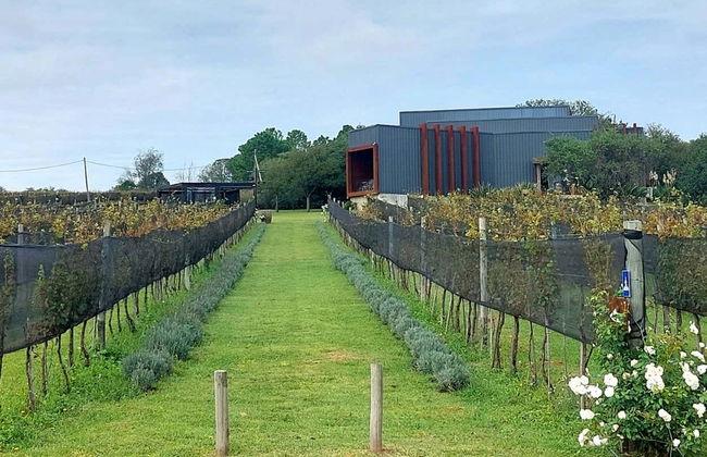Excursión a las bodegas del Valle de Calamuchita - Foto 3