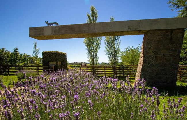 Excursión a las bodegas del Valle de Calamuchita - Foto 2