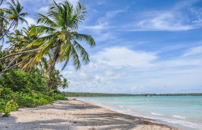 Transfer to Morro de Sao Paulo - Photo 2