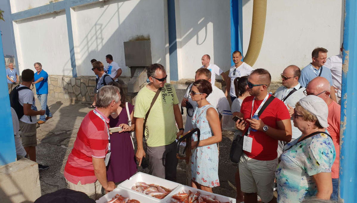 Tour por el puerto de Estepona - Foto 1