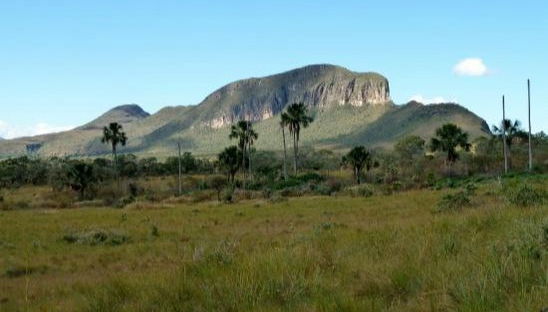 Aguas Claras & Morro dos Três Irmãos Hiking Tour - Foto 2