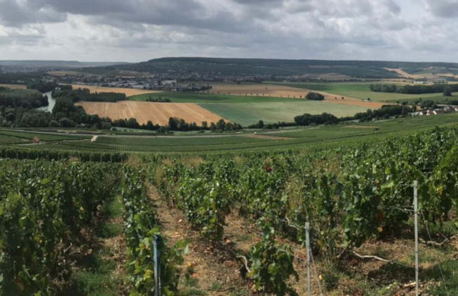 Tour dello champagne a Épernay, Hautvillers e Mareuil-sur-Ay - Foto 7