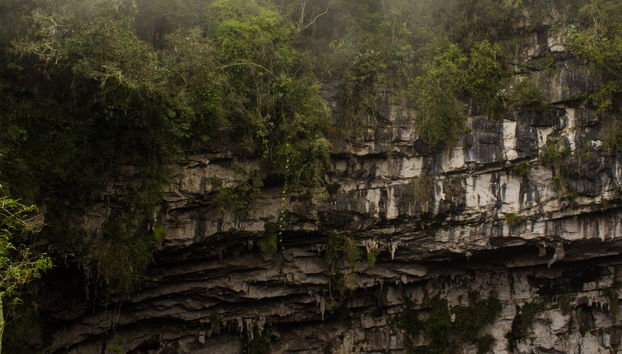 Sótano El Cepillo Abseiling Tour - Photo 2