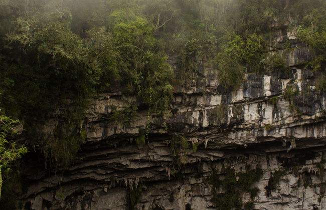 Sótano El Cepillo Abseiling Tour - Foto 2