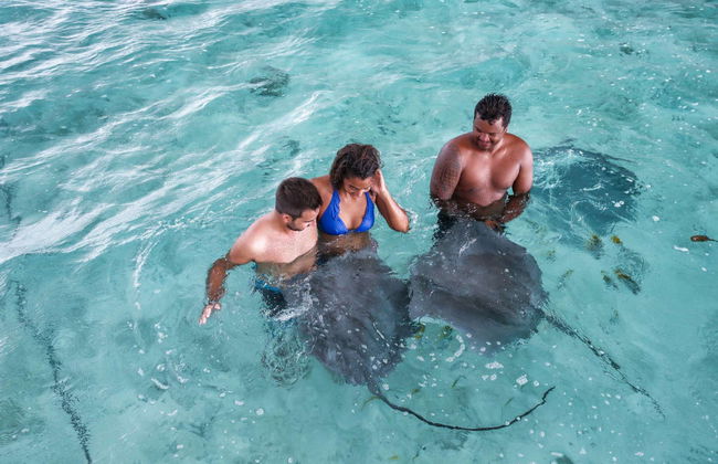Jet ski + Snorkel com tubarões e arraias - Foto 3