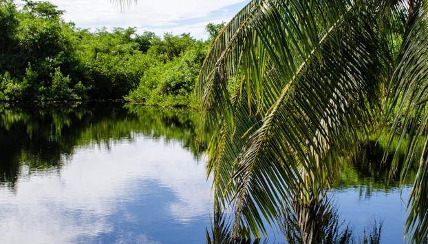 East End Trip - Foto 4