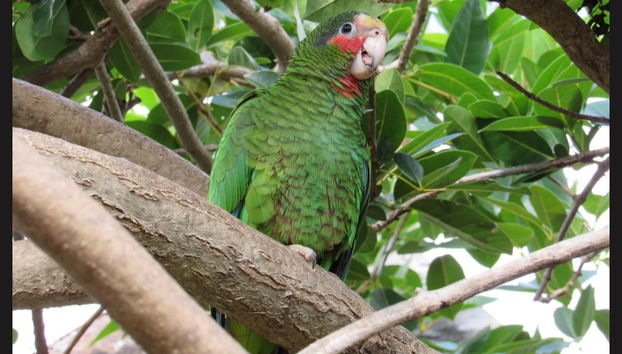 East End Trip - Foto 2