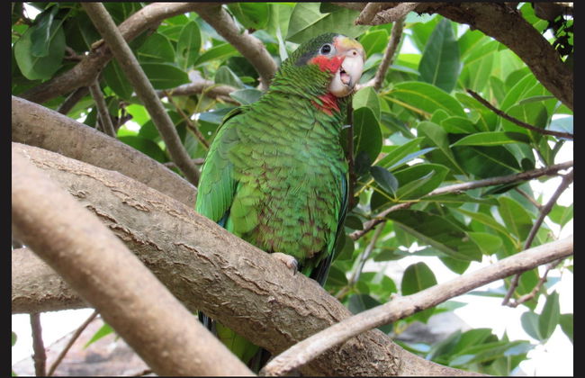 East End Trip - Foto 2