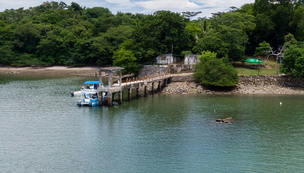 Excursión al Parque Nacional Isla San Lucas - Foto 4