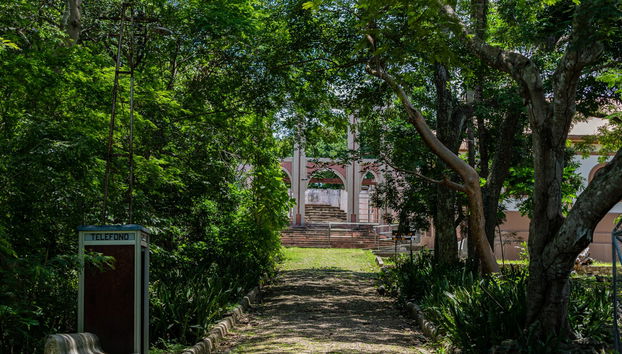 Excursión al Parque Nacional Isla San Lucas - Foto 2