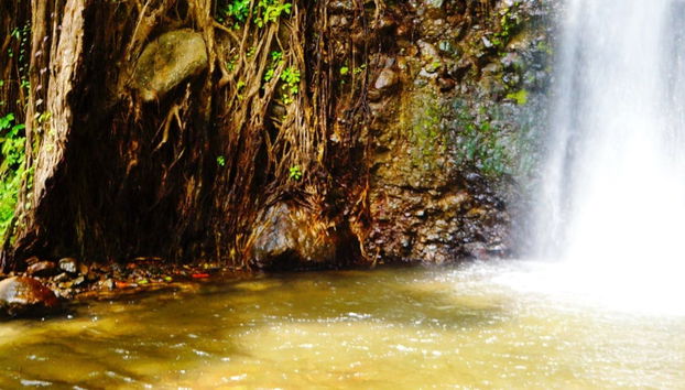 Excursión a las cataratas de Dark View - Foto 4