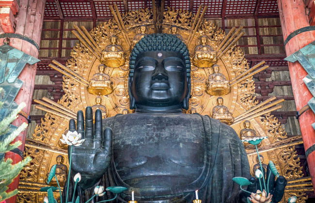 Visita guidata di Nara - Foto 3