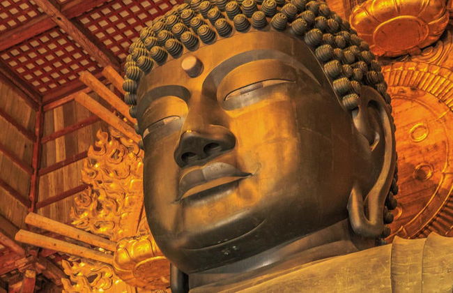 Visita guiada por Nara - Foto 2