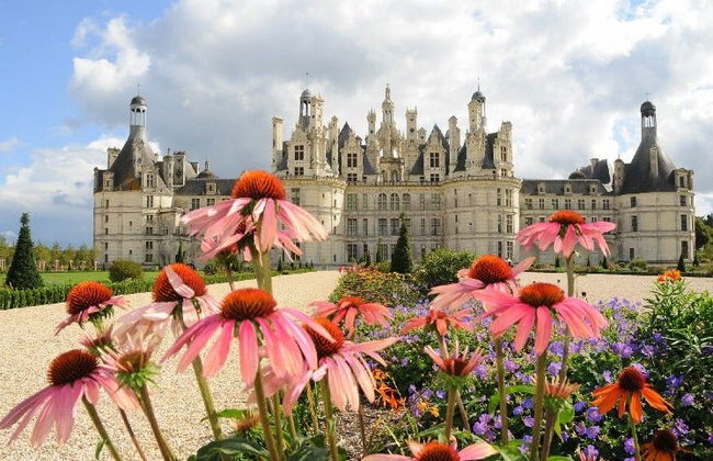 Château de Chenonceau + Chambord Excursion - Photo 3