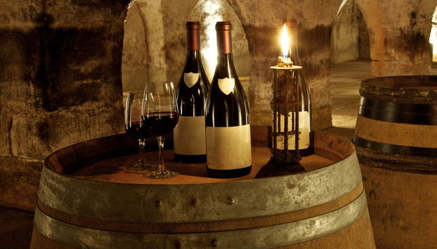 Castillos de Chenonceau y Chambord + Bodegas Duhard - Foto 5