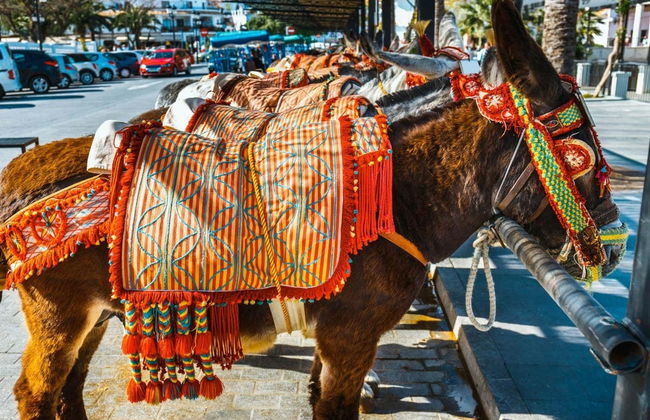 Visite privée dans Mijas. À vous de choisir - Photo 6
