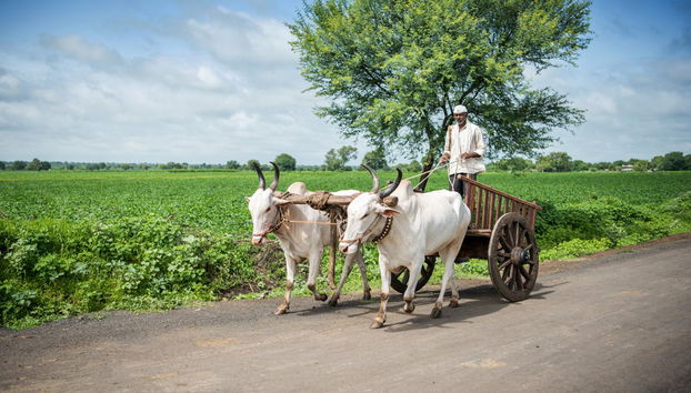 Tour privado por los pueblos de Varanasi - Foto 4