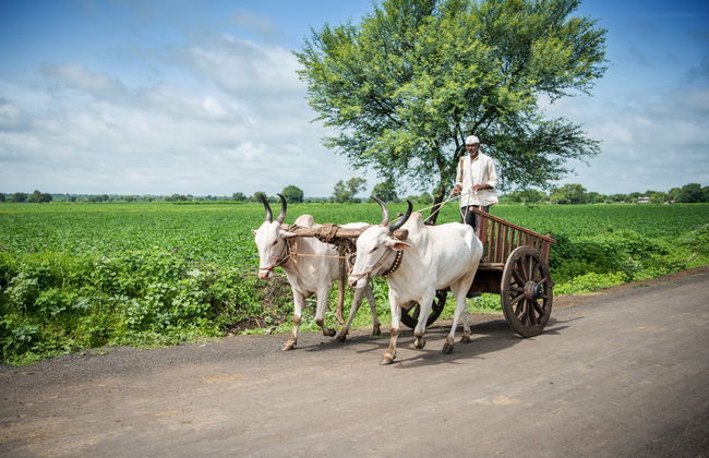 Tour privado por los pueblos de Varanasi - Foto 4