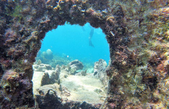 Snorkelling in Havana - Photo 3
