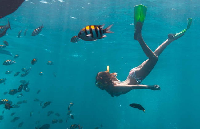 Snorkelling in Havana - Foto 8