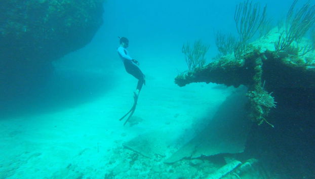 Snorkel en La Habana - Foto 2