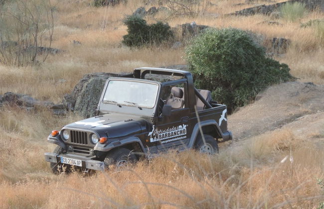 Tour en 4x4 por la dehesa de Cáceres - Photo 2