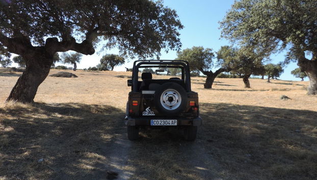 Tour en 4x4 por la dehesa de Cáceres - Photo 3