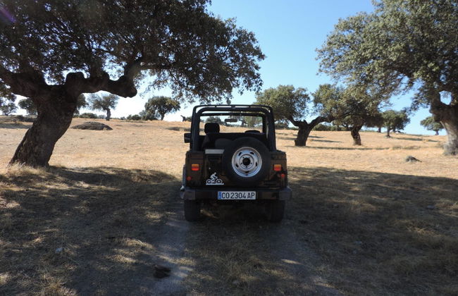 Tour en 4x4 por la dehesa de Cáceres - Photo 3