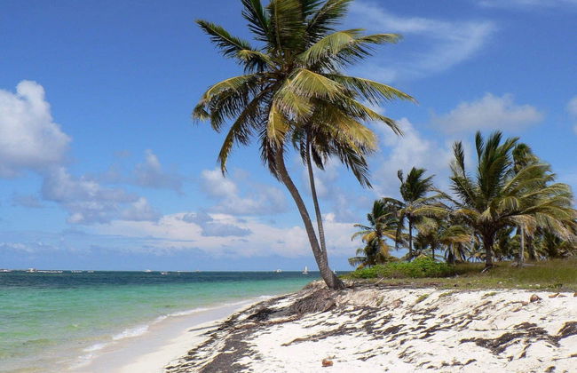 Punta Cana Speedboat Driving - Foto 7