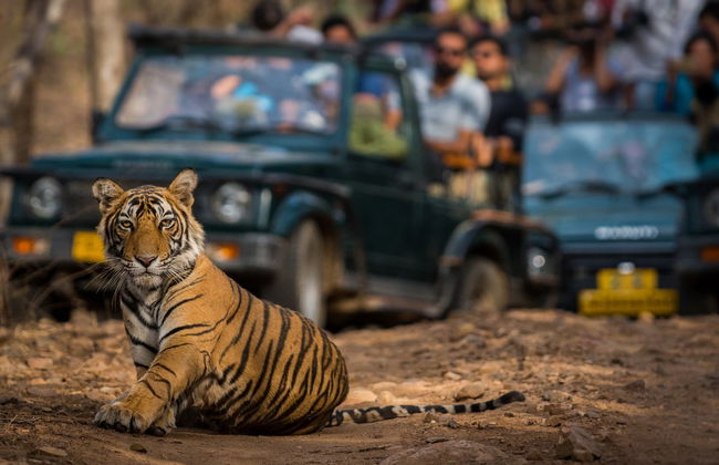 Circuit de 8 jours au Triangle d'Or + Ranthambore - Photo 2