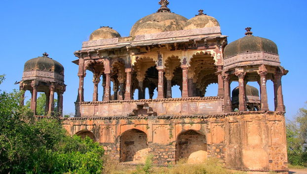 Tour de 8 días por el Triángulo de Oro + Ranthambore - Foto 5