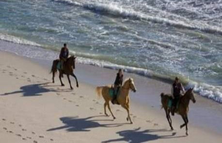 Balade à cheval sur la plage de Bonfil - Photo 4