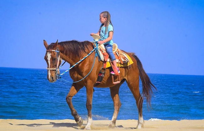 Balade à cheval sur la plage de Bonfil - Photo 3