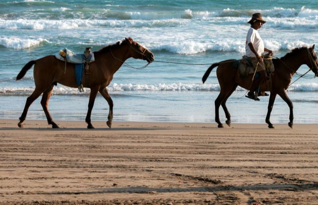 Balade à cheval sur la plage de Bonfil - Photo 7