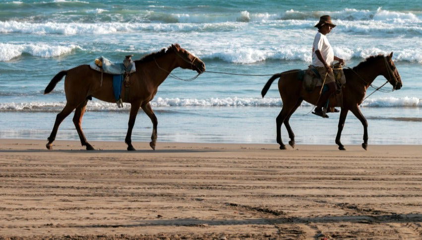 Horseback Riding on Bonfil Beach