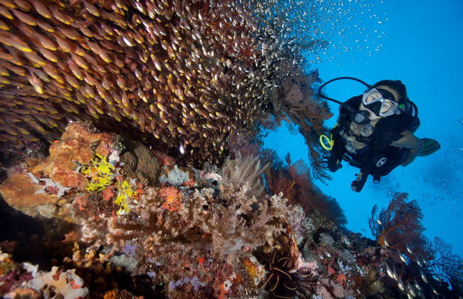 Baptême de plongée à Lombok - Photo 4