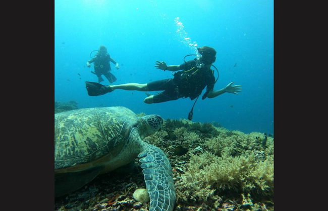 Batismo de mergulho em Lombok - Foto 3