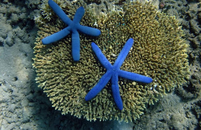 Excursion privée à Gili Nanggu, Sudak et Kedis - Photo 2