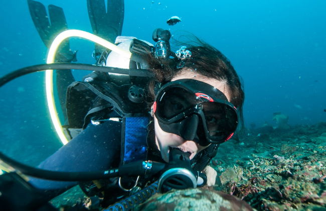 Baptême de plongée à Lombok - Photo 7