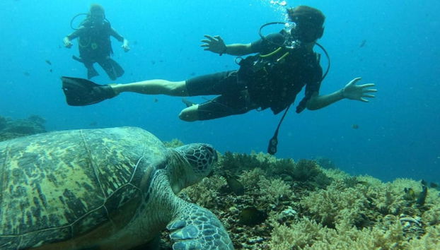 Discover Scuba Dive in Lombok - Photo 3