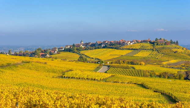 Tour por Alsacia + Castillo Haut-Koenigsbourg - Foto 5