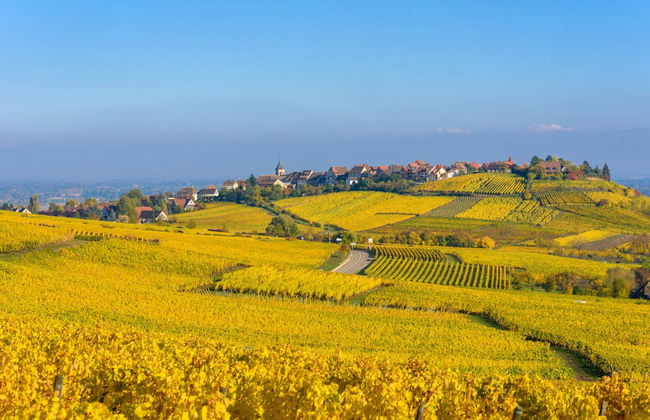 Tour dell'Alsazia + Castello di Haut-Koenigsbourg - Foto 5